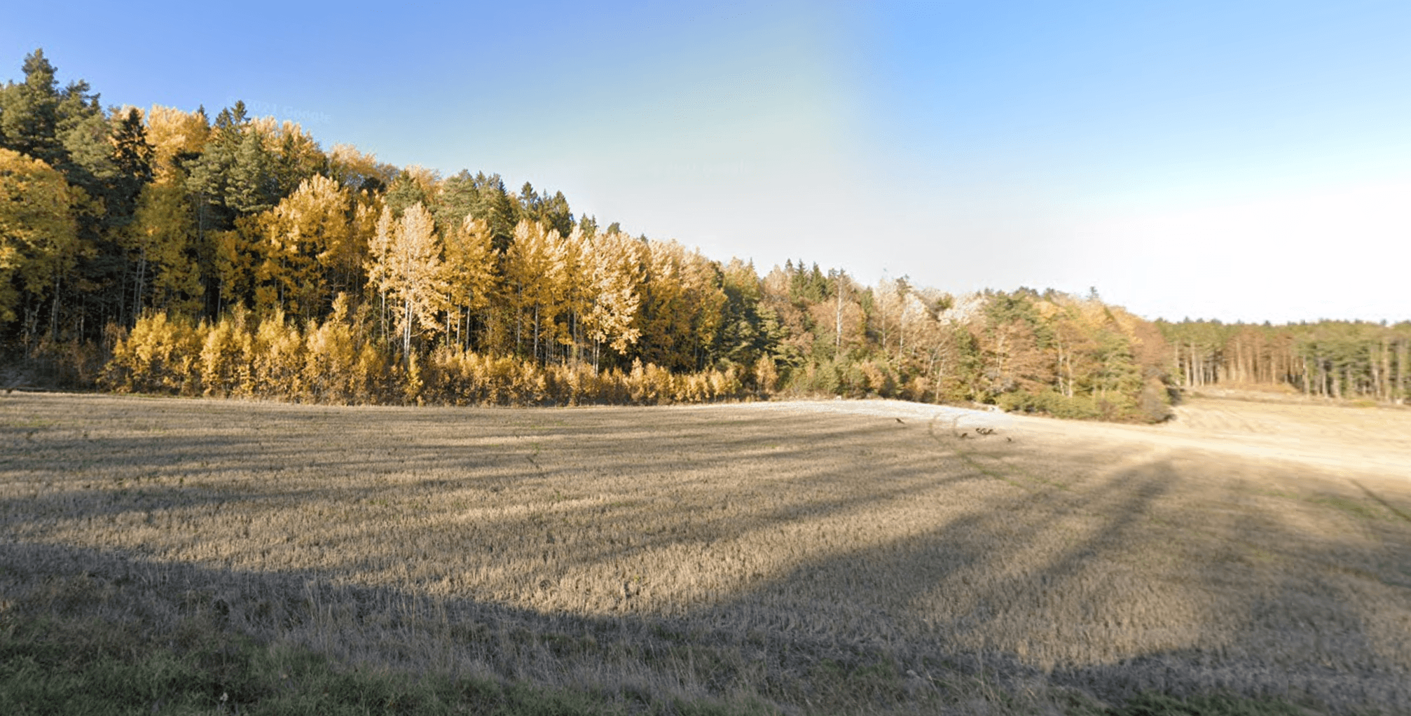 land cover