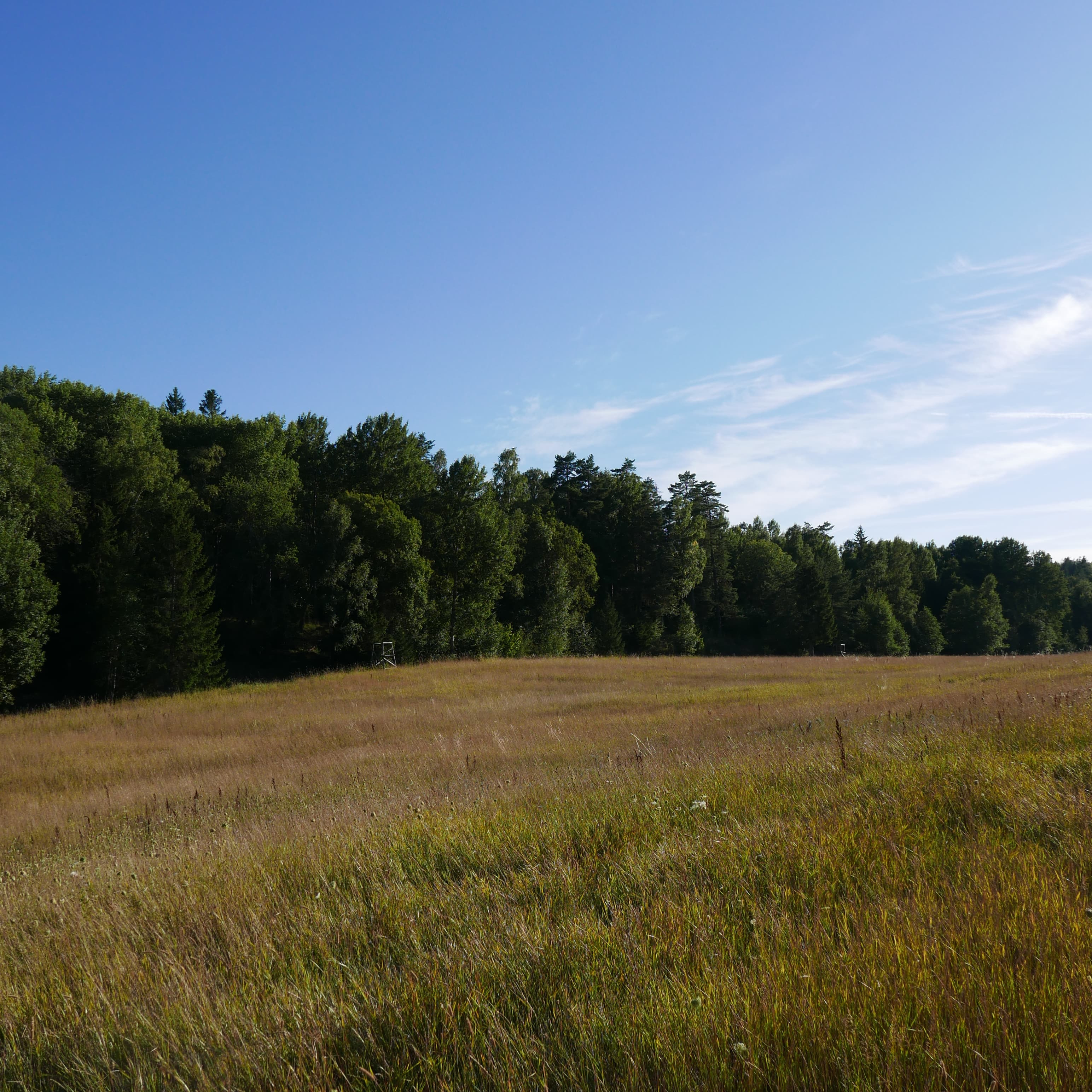 land cover