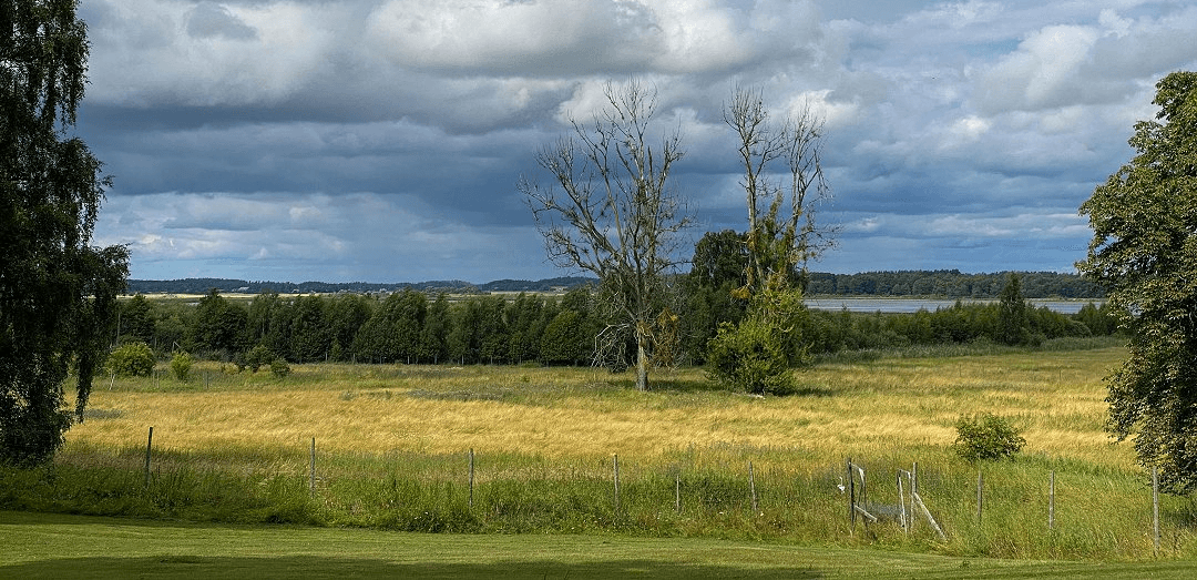 land cover