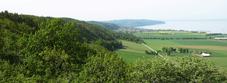 land cover