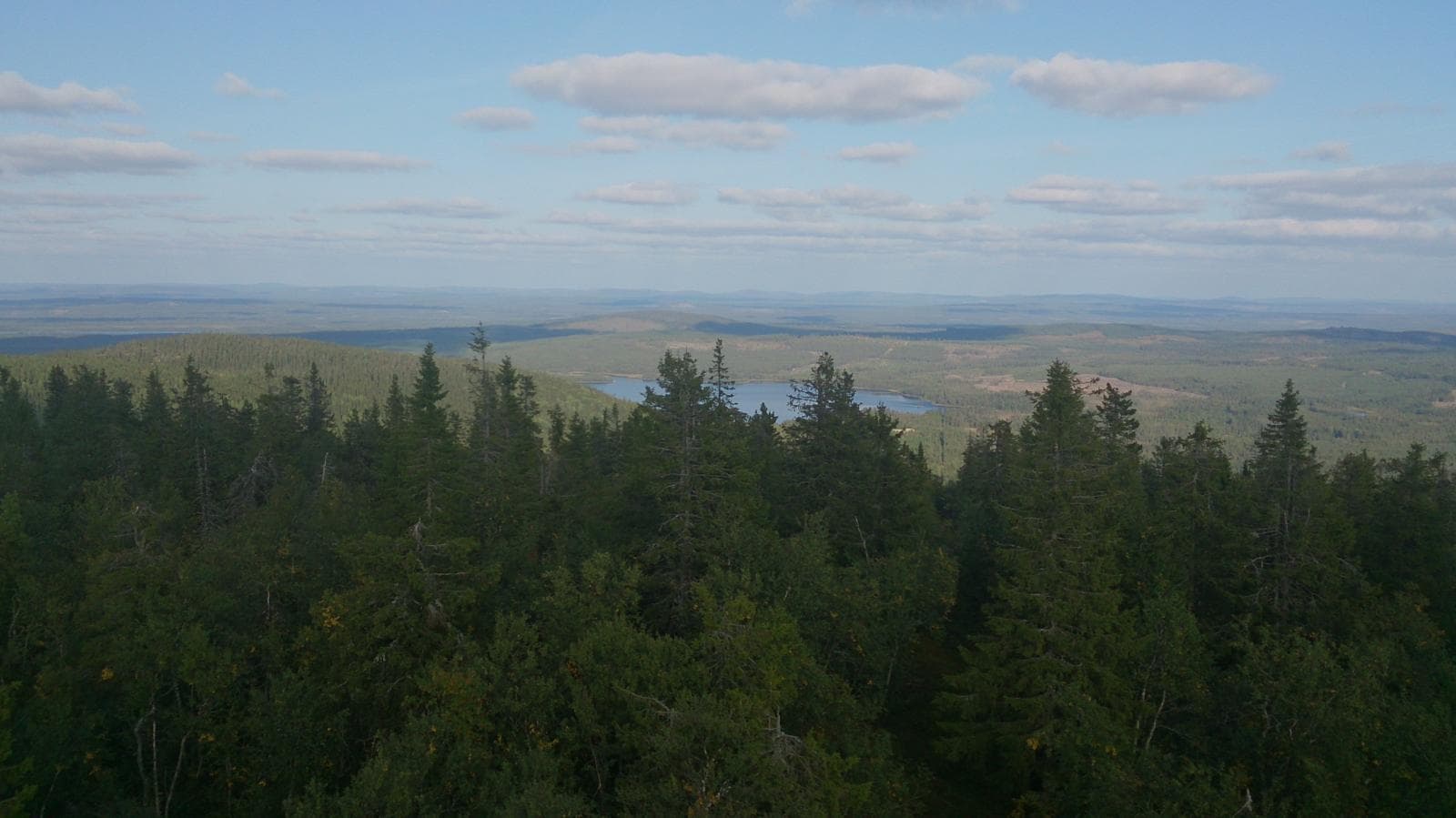 land cover