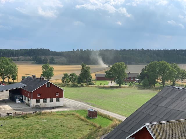 land cover